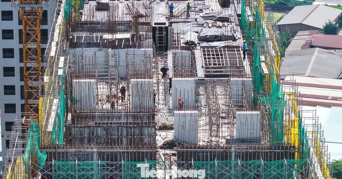 Sắp có 'thuốc trị 'môi giới thổi giá, tạo sốt đất ảo