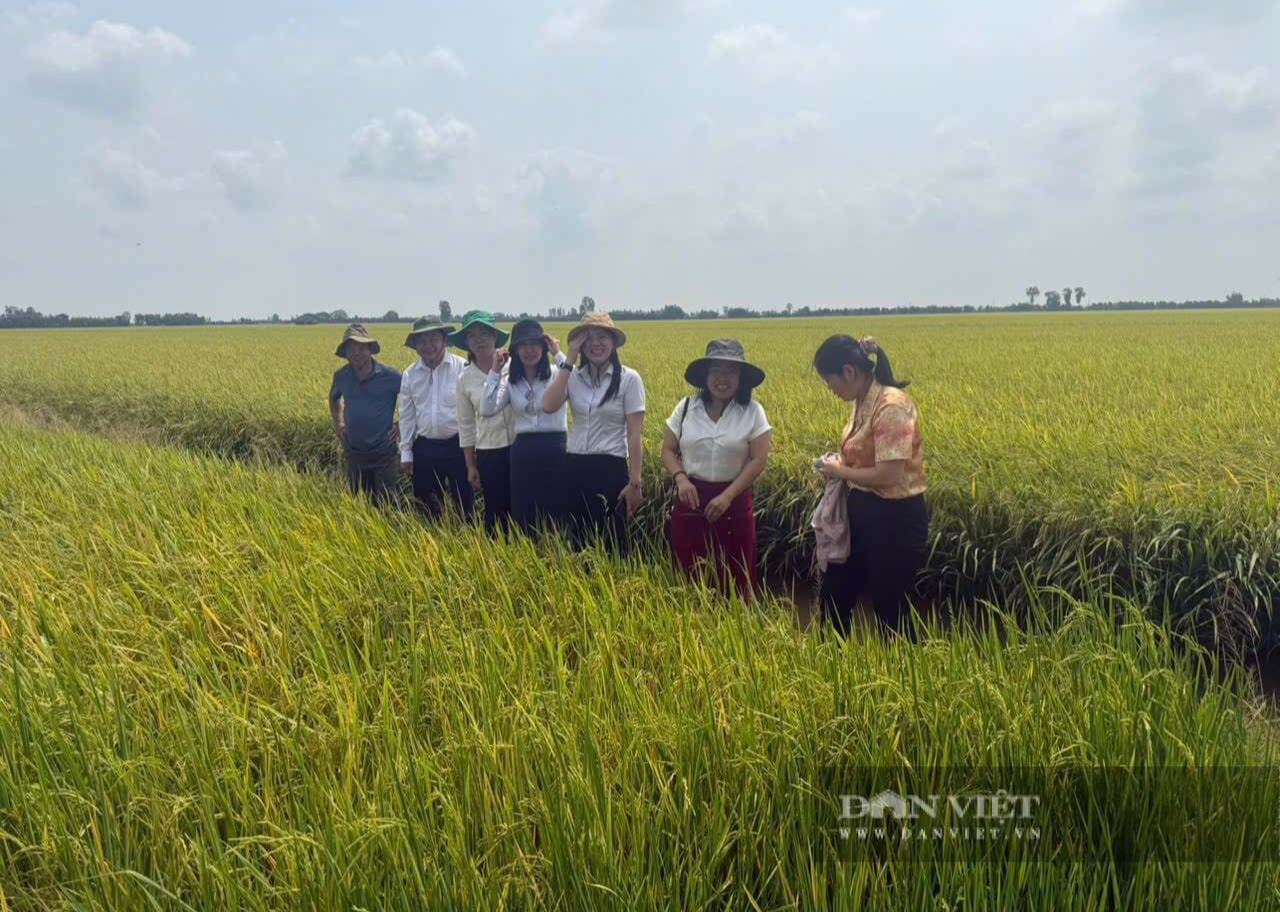nong-dan-ty-phu-2.png