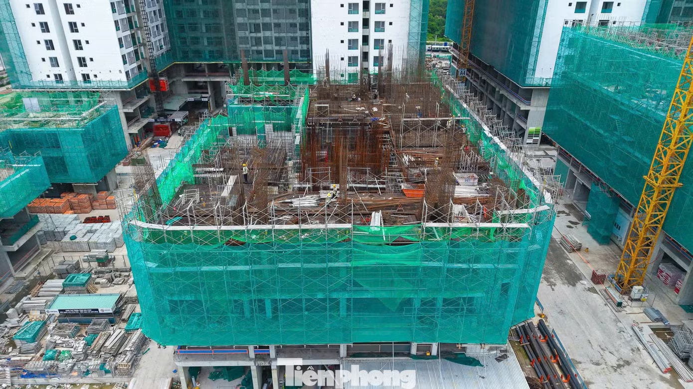 Dự án này do Công ty CP Phát triển Bất động sản Phát Đạt làm chủ đầu tư. Hàng chục dự án căn hộ đua nhau 'mọc' lên dọc đoạn Quốc lộ - Ảnh 6.