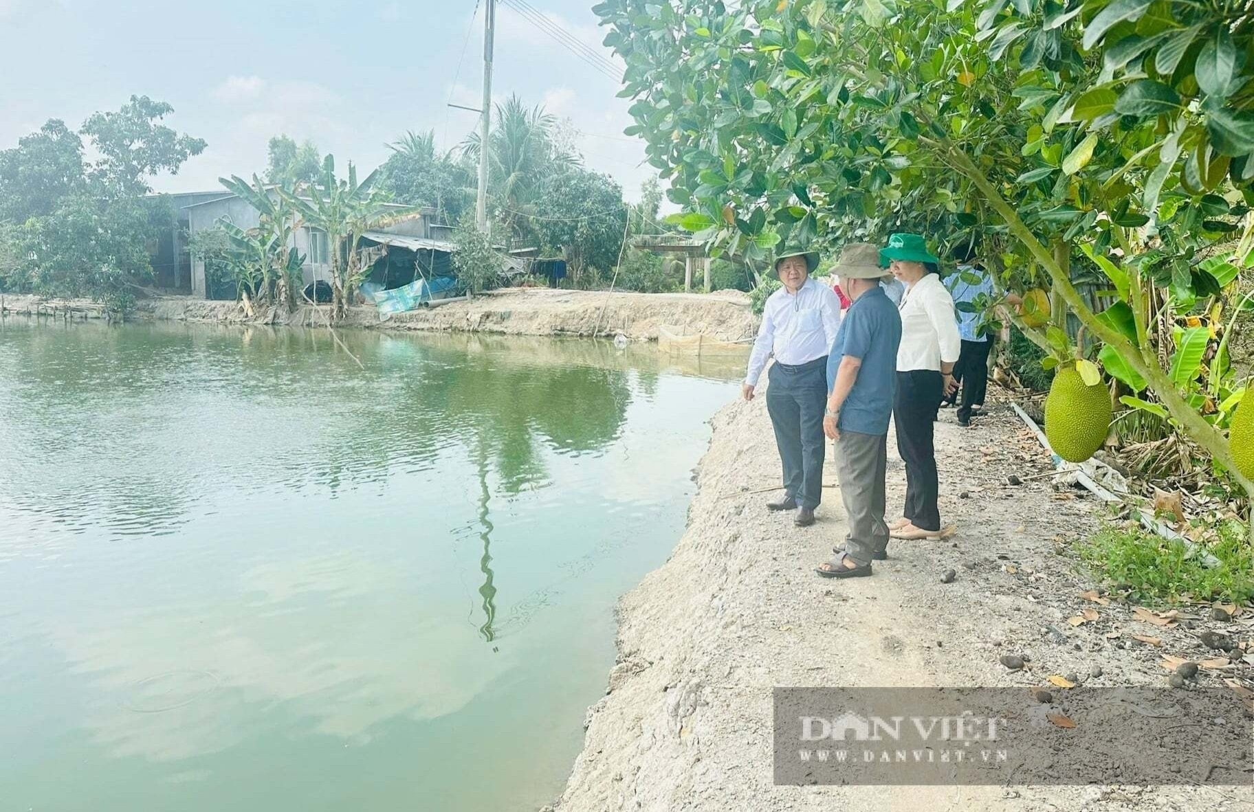nong-dan-ty-phu-1.jpg