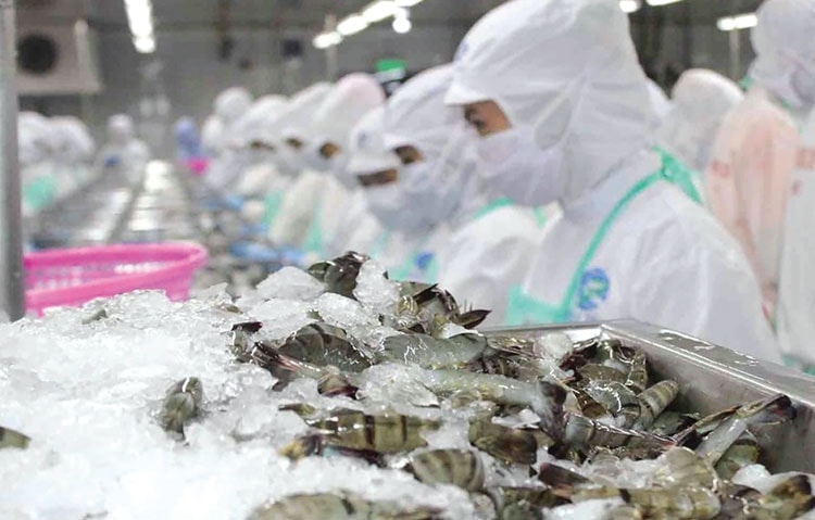 Chuyên gia: Tăng trưởng GDP quý II có thể đạt 8,2 - 8,5%, thậm chí tiến sát 9% Chuyên gia: Tăng trưởng GDP quý II có thể đạt 8,2 - 8,5%, thậm chí tiến sát 9%