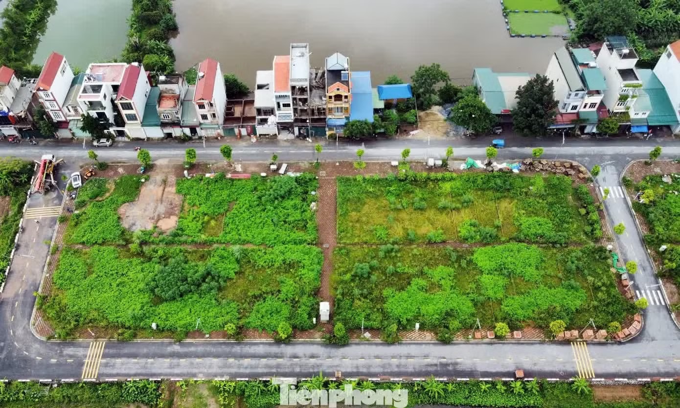 Nhiều khu đất đấu giá vùng ven Hà Nội rơi vào cảnh bỏ hoang. Trong ảnh: Khu đất đấu giá tại Ngõ Ba, thôn Thanh Thần, xã Thanh Cao (nay là xã Bình Minh) để Hà Nội đấu giá khu đất làm nhà ở thấp tầng, khởi điểm hơn 1.100 tỷ đồng - Ảnh 2.