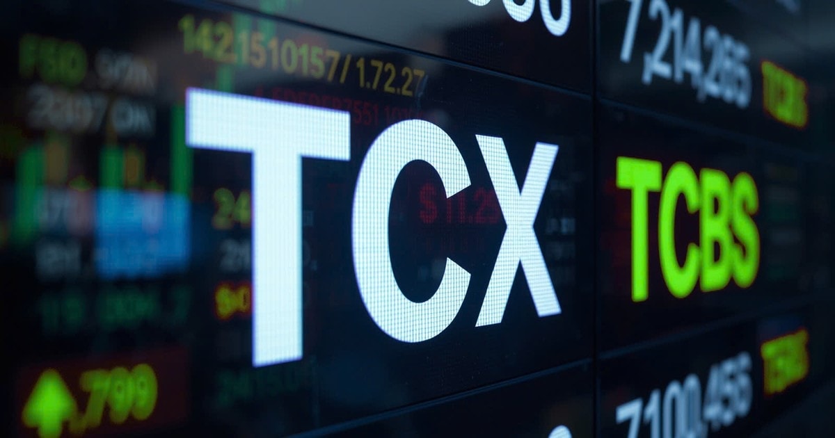 TCBS muốn gia tăng tỷ lệ sở hữu tại TCEX