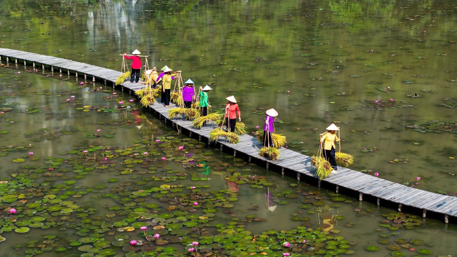 Đặng Ngọc Phi