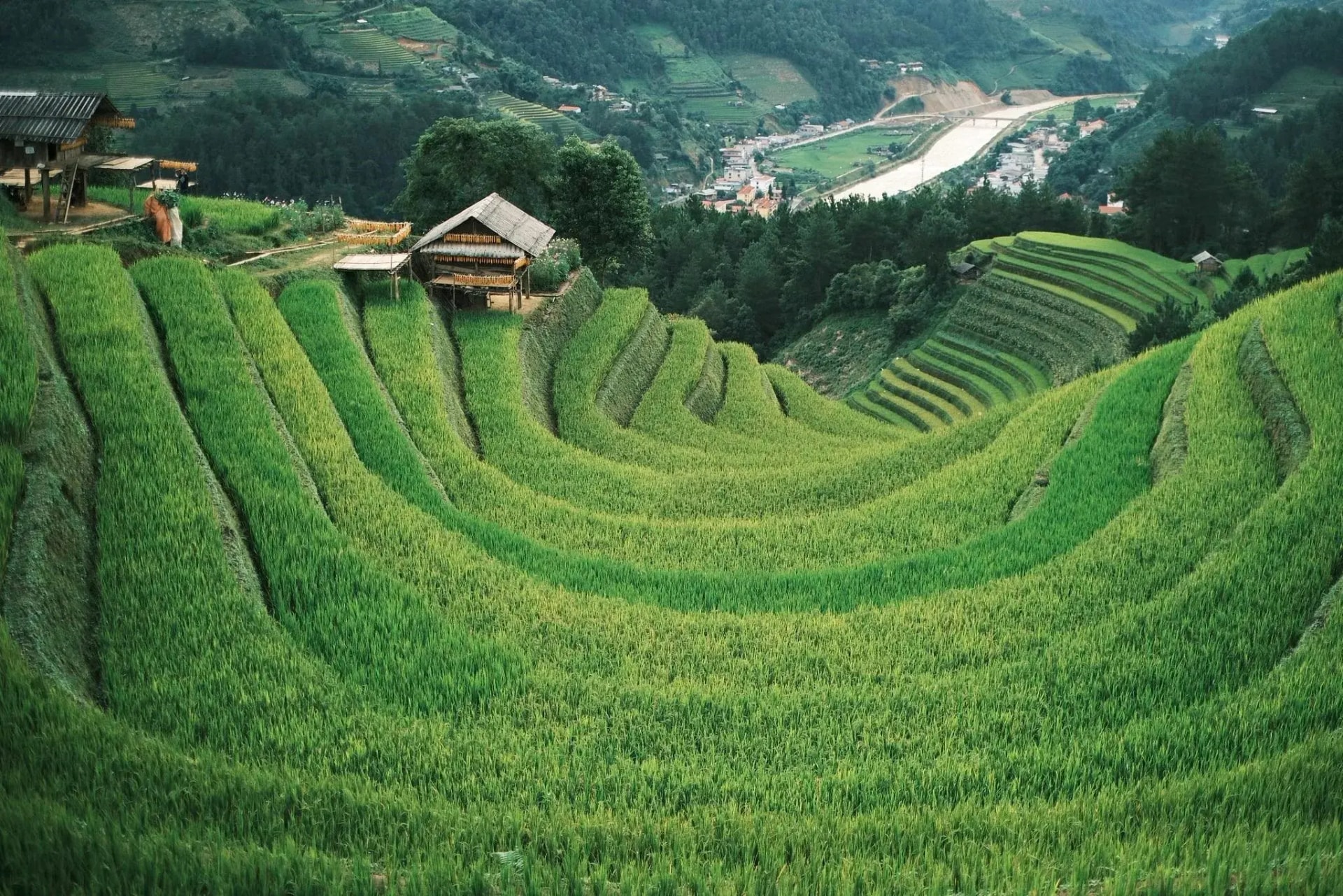 Khung cảnh đồi Móng Ngựa, một địa điểm thuộc xã La Pán Tẩn cũ (nay là xã Púng Luông). Những thửa ruộng uốn lượn vòng quanh như từng lớp móng ngựa nối tiếp. Đây là nơi vừa có thể đón bình minh hoặc hoàng hôn, chụp ảnh check-in để có những bức ảnh đặc trưng về mùa lúa Mù Cang Chải.