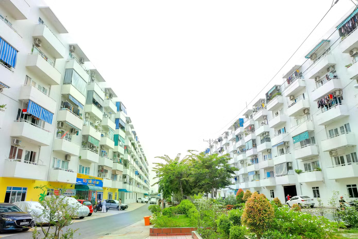 Một dự án nhà ở cho thuê ở TPHCM. Loạt 'ông lớn' BĐS đăng ký, khi nào TPHCM có nhà ở cho thuê? - Ảnh 1.