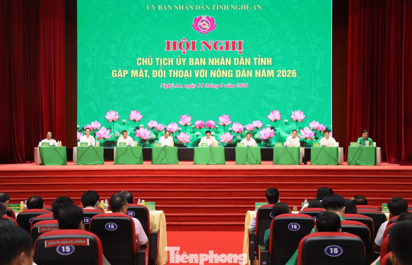 Lý do thương hiệu cam Vinh xuống dốc - Ảnh 1.