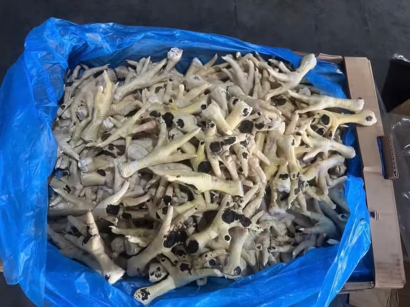 c1e350ec8cf3c404ad3aa9de6e4694f650ddb84e7598f0e77b2561b3c0d808c30958f-_z7952117740509-599dc9bc921e4ccbae5a55ed7ef42d37.jpg.avif