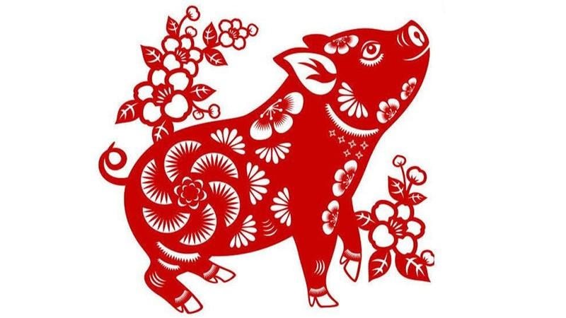 tuoi-hoi-hop-voi-so-nao_1781841991.jpg