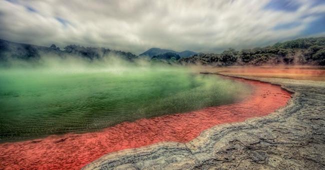 ho-taupo-650_1781670866.jpg