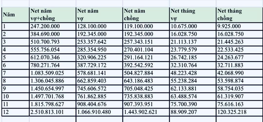 Từ mức lương 10 triệu đồng, cặp vợ chồng 9X chia sẻ hành trình chạm mốc thu nhập tiền tỷ