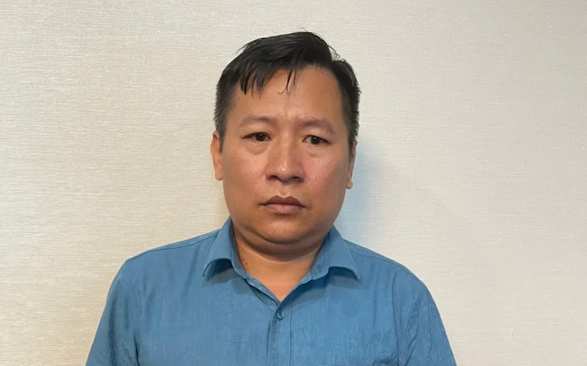 Thi hành lệnh bắt giam đối tượng SN 1982 làm thẻ đảng viên, bằng thạc sĩ giả để vào vai cán bộ công tác tại cơ quan Trung ương - Ảnh 1.