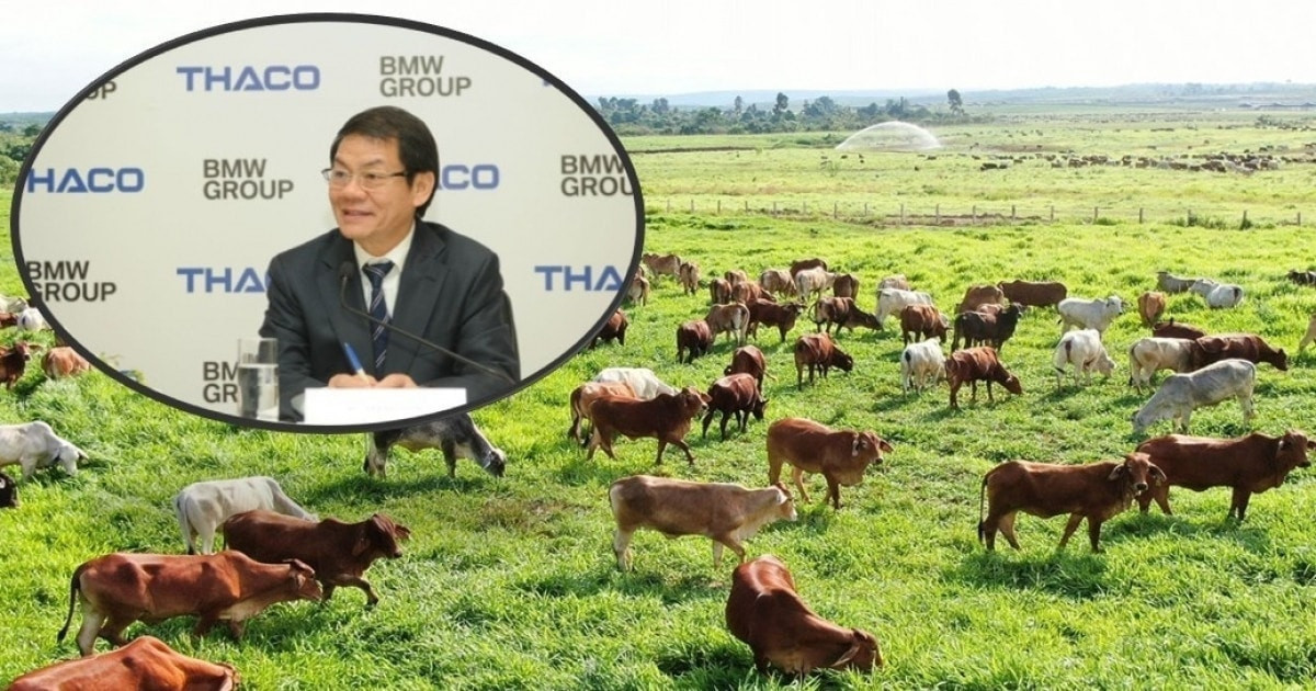 Dưới sự hậu thuẫn của THACO, siêu dự án 750 triệu USD được kỳ vọng mở ra chu kỳ tăng trưởng mới cho HAGL AGrico (HNG)