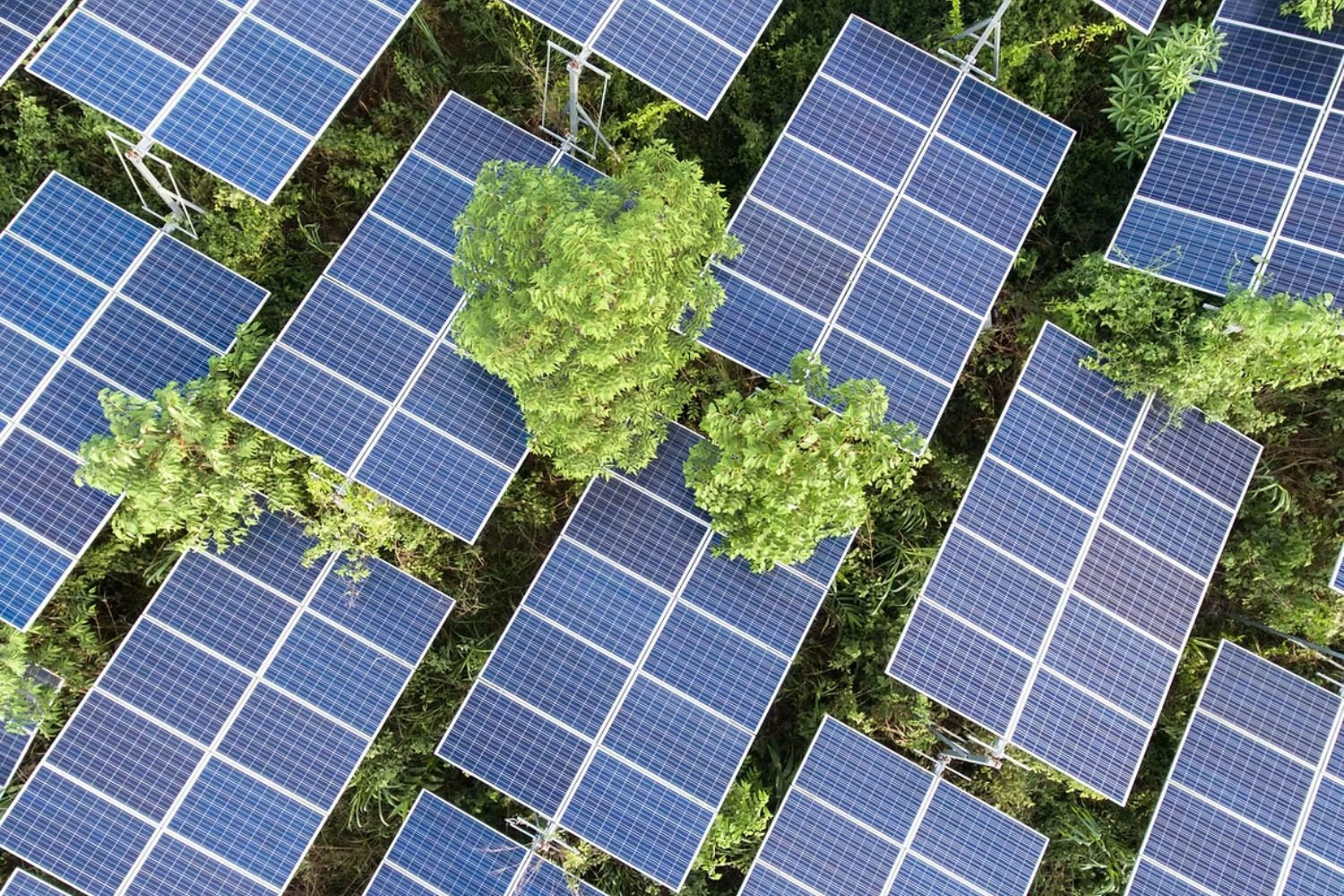 Tandem PV một công ty sản xuất tấm năng lượng mặt trời Mỹ