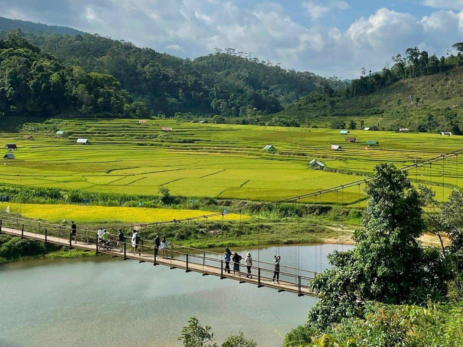 mang-den11-6949_1782287684.jpg