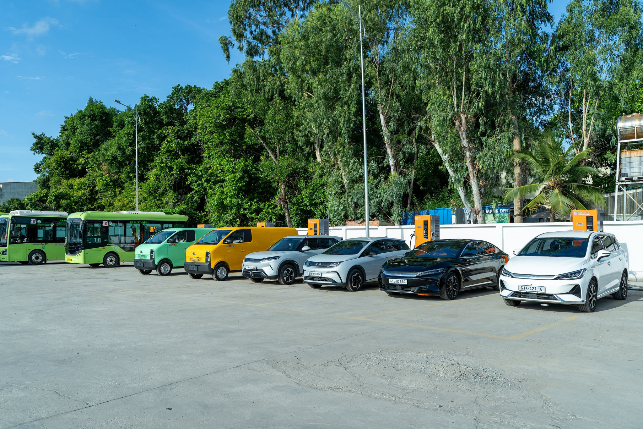BYD (3)