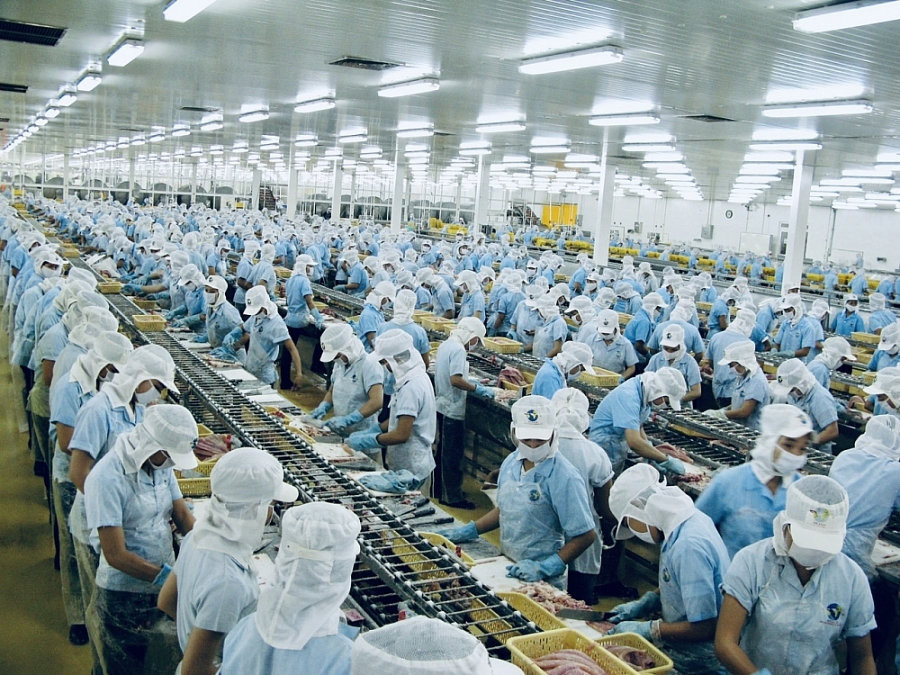 'Vua tôm' Minh Phú (MPC) khánh thành nhà máy chế biến thuỷ sản 1.500 tỷ đồng, công suất 35.000 tấn/năm