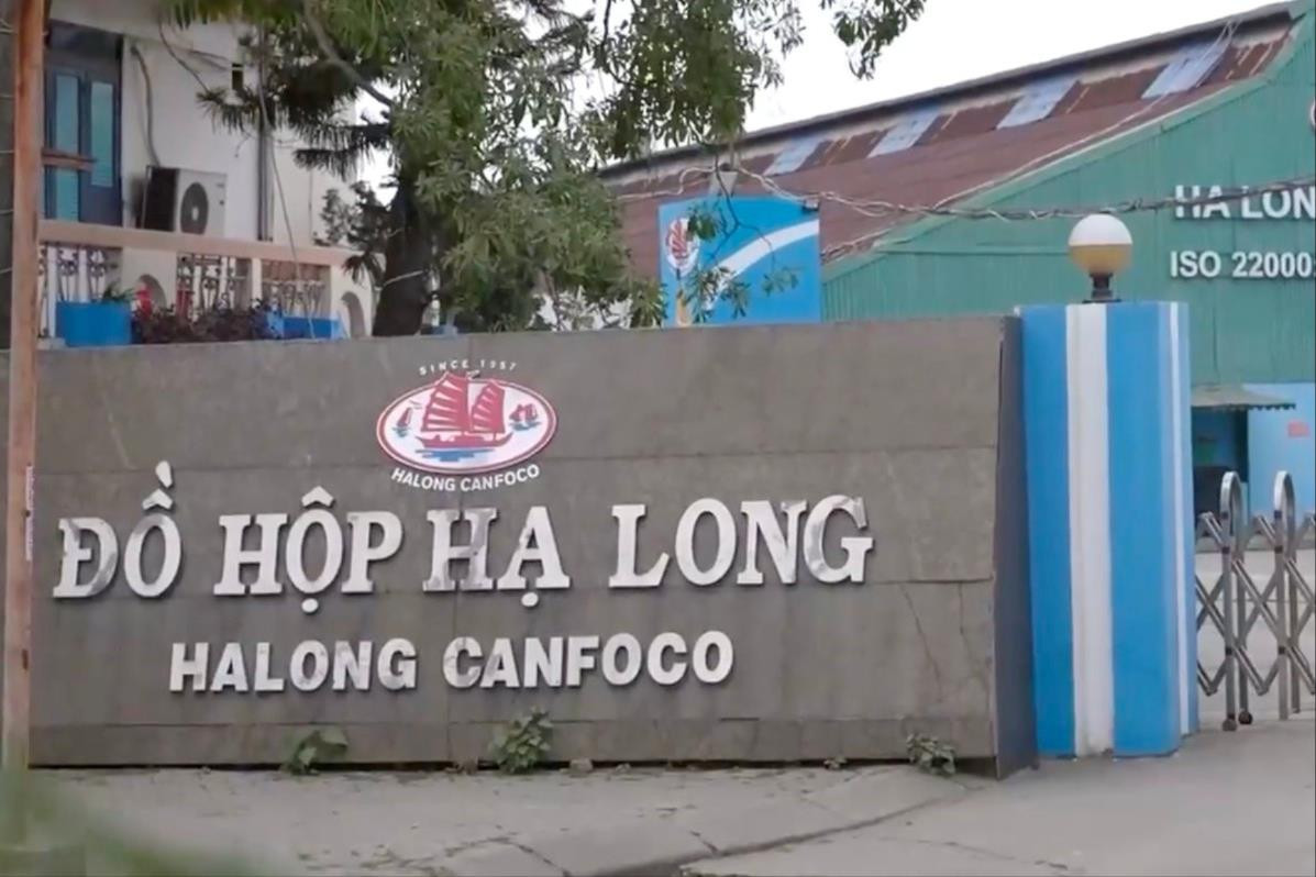 Bê bối 130 tấn heo nhiễm bệnh để lại hậu quả nghiêm trọng, Đồ hộp Hạ Long dự kiến mất 70% doanh thu nội địa