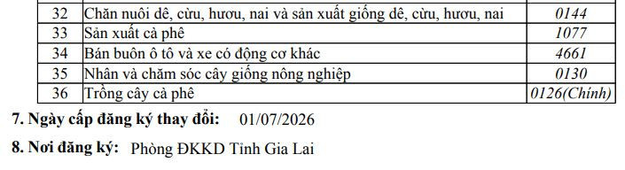 Vừa dứt mảng khách sạn, bầu Đức tiếp tục 'đại phẫu' Hoàng Anh Gia Lai - Ảnh 1.