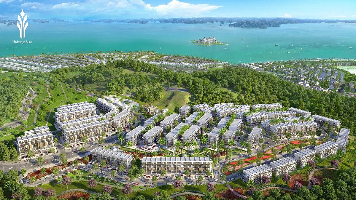 Chủ đầu tư dự án Hạ Long Star quy mô 9.350 tỷ nợ thuế hơn 624 tỷ đồng - Ảnh 3.