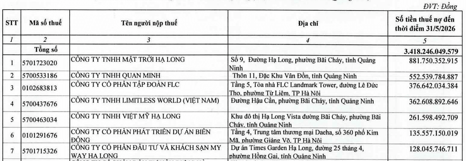 Chủ đầu tư dự án Hạ Long Star quy mô 9.350 tỷ nợ thuế hơn 624 tỷ đồng - Ảnh 1.