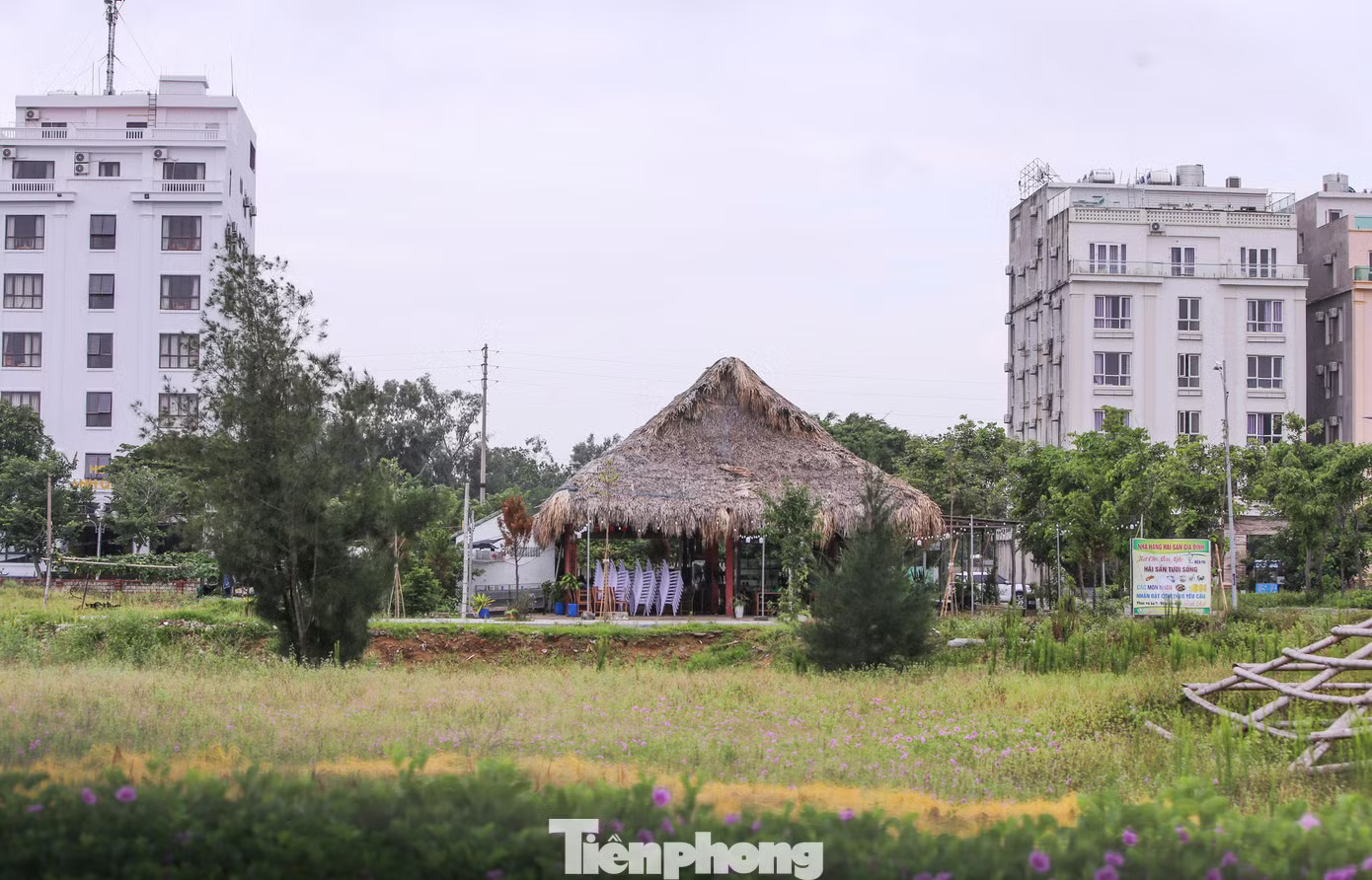 Hàng loạt sai phạm tại khu du lịch sinh thái biển trăm tỷ ở Thanh Hóa - Ảnh 7.