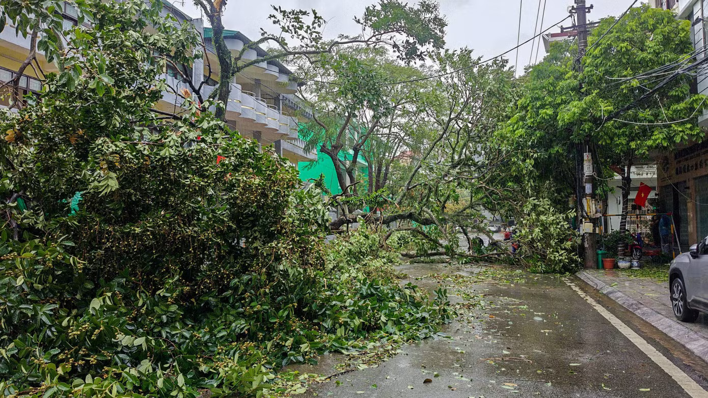 Móng Cái tan hoang không nhận ra sau bão số 1 - Ảnh 2.