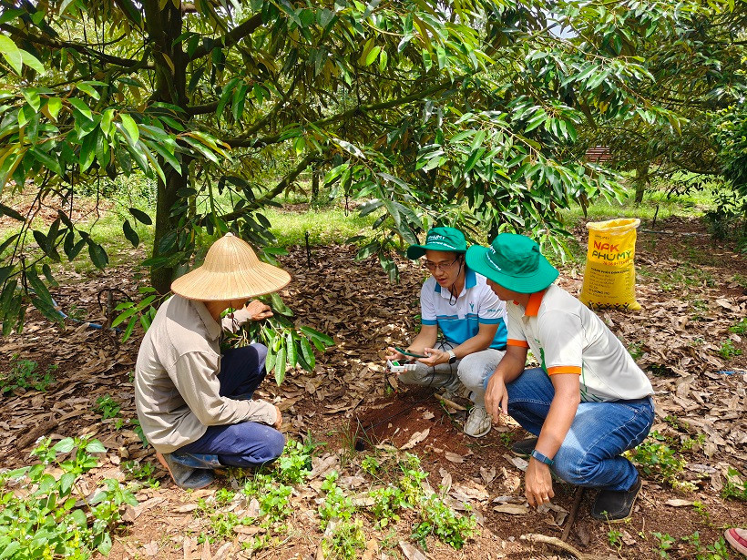 Các sản phẩm phân bón Phú Mỹ luôn được bà con nông dân tin tưởng sử dụng