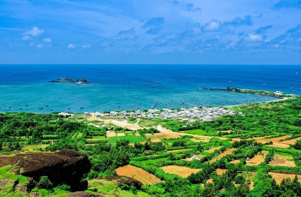 dao hon tro