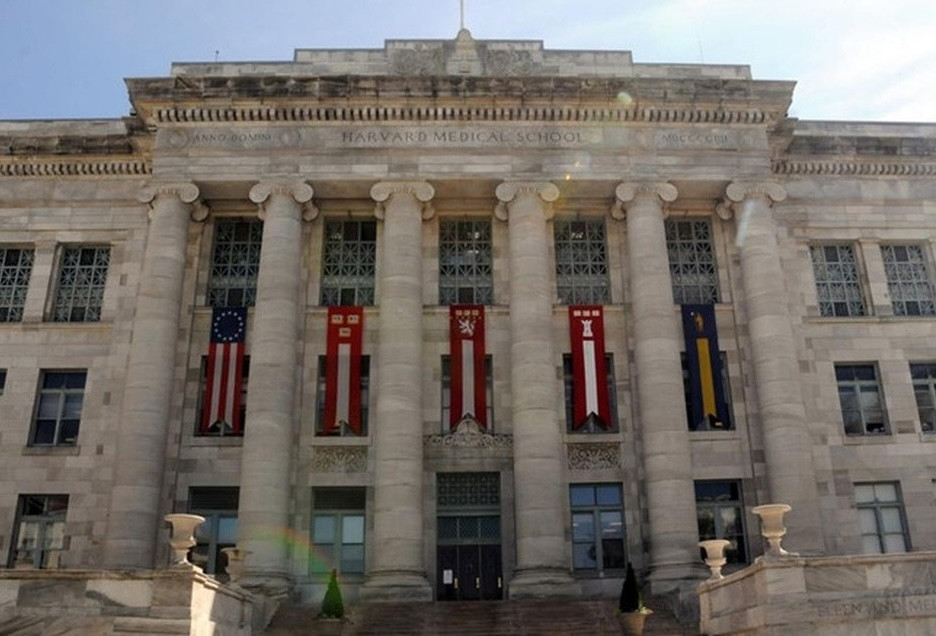 y-havard-1.jpeg