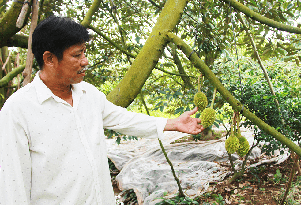 nong-dan-vinh-long-1.png