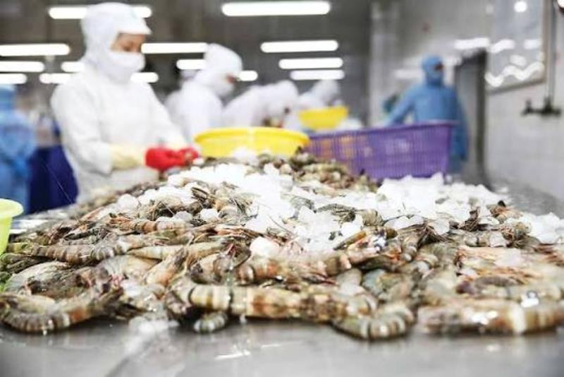Xuất khẩu thủy sản tăng mạnh trong 6 tháng đầu năm
