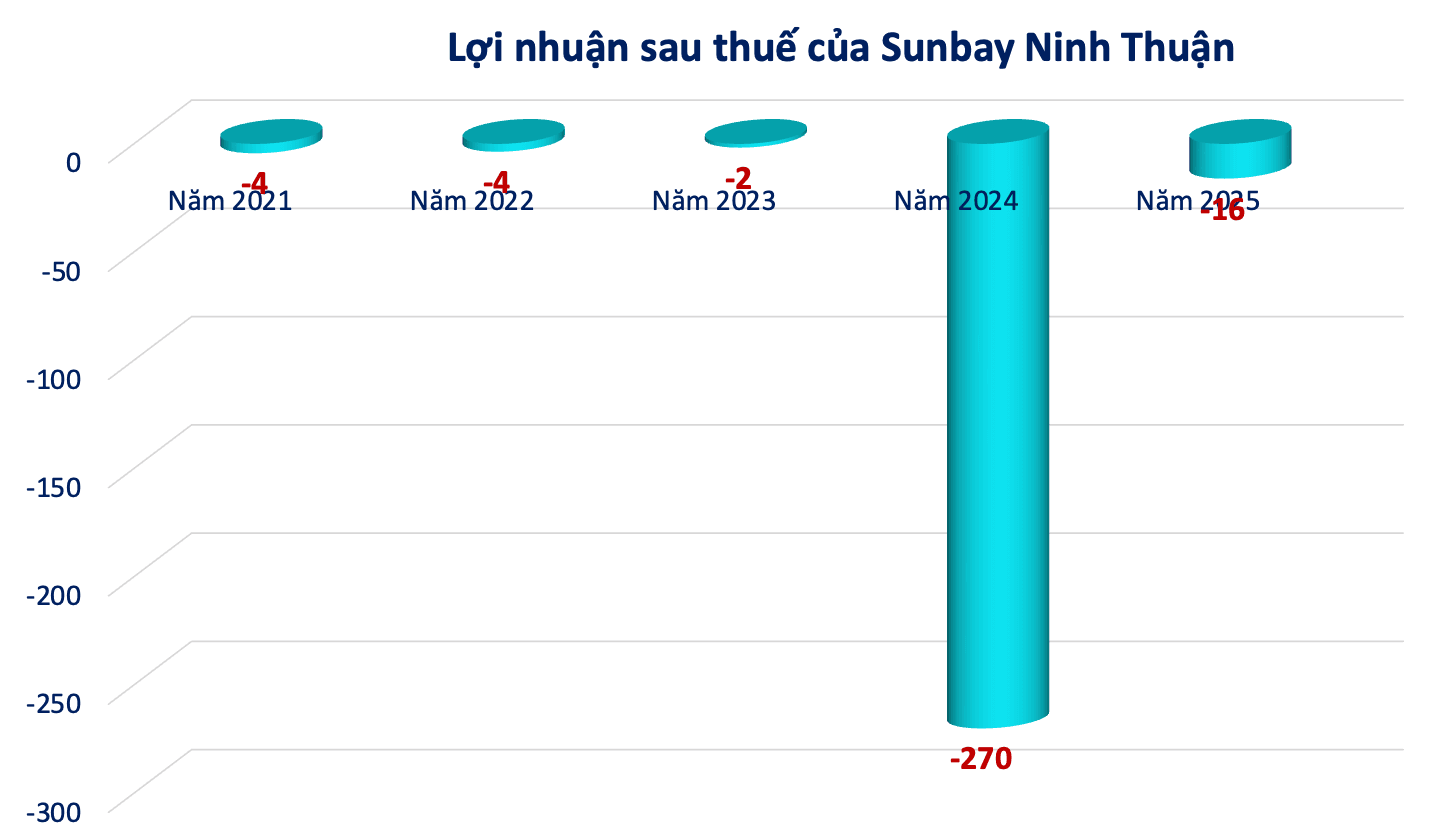 Kết quả kinh doanh của Sunbay Ninh Thuận