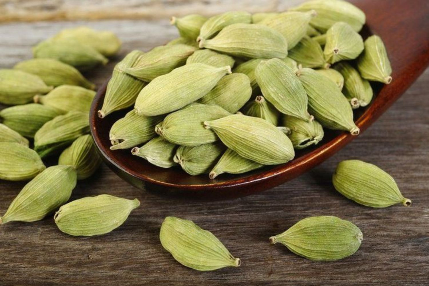 Hạt bạch đậu khấu