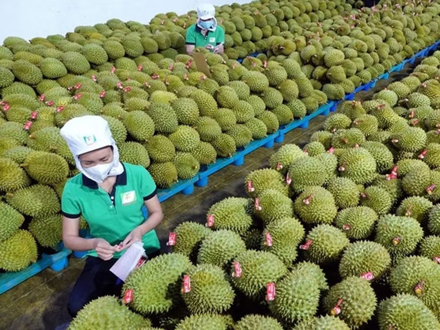 Yêu cầu 'hỏa tốc' thông quan cho nông sản - Ảnh 1.