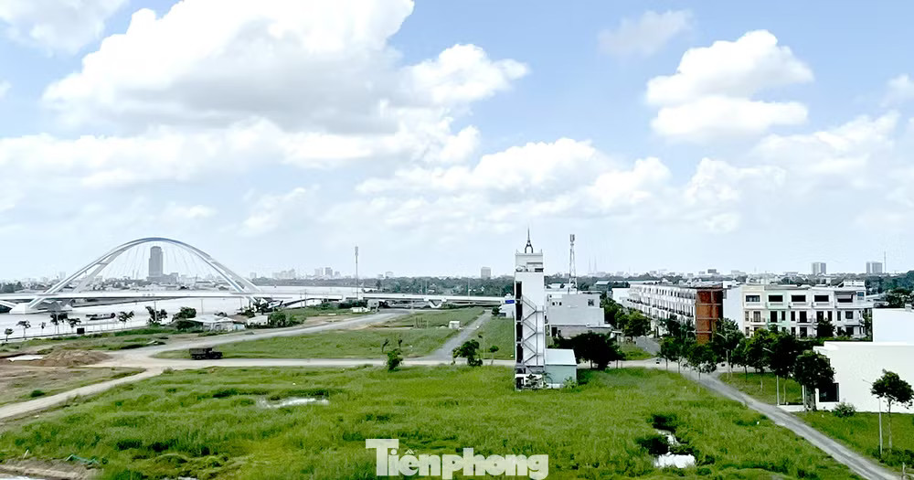 Trong 6 tháng đầu năm nay, Thuế Cần Thơ xử lý hơn 80 hồ sơ chuyển nhượng bất động sản 2 giá, truy thu gần 15 tỷ đồng. Chuyển cơ quan công an gần 350 hồ sơ thuế có dấu hiệu vi phạm - Ảnh 1.