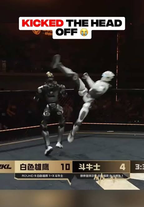 robot-dau-mma-3.jpg