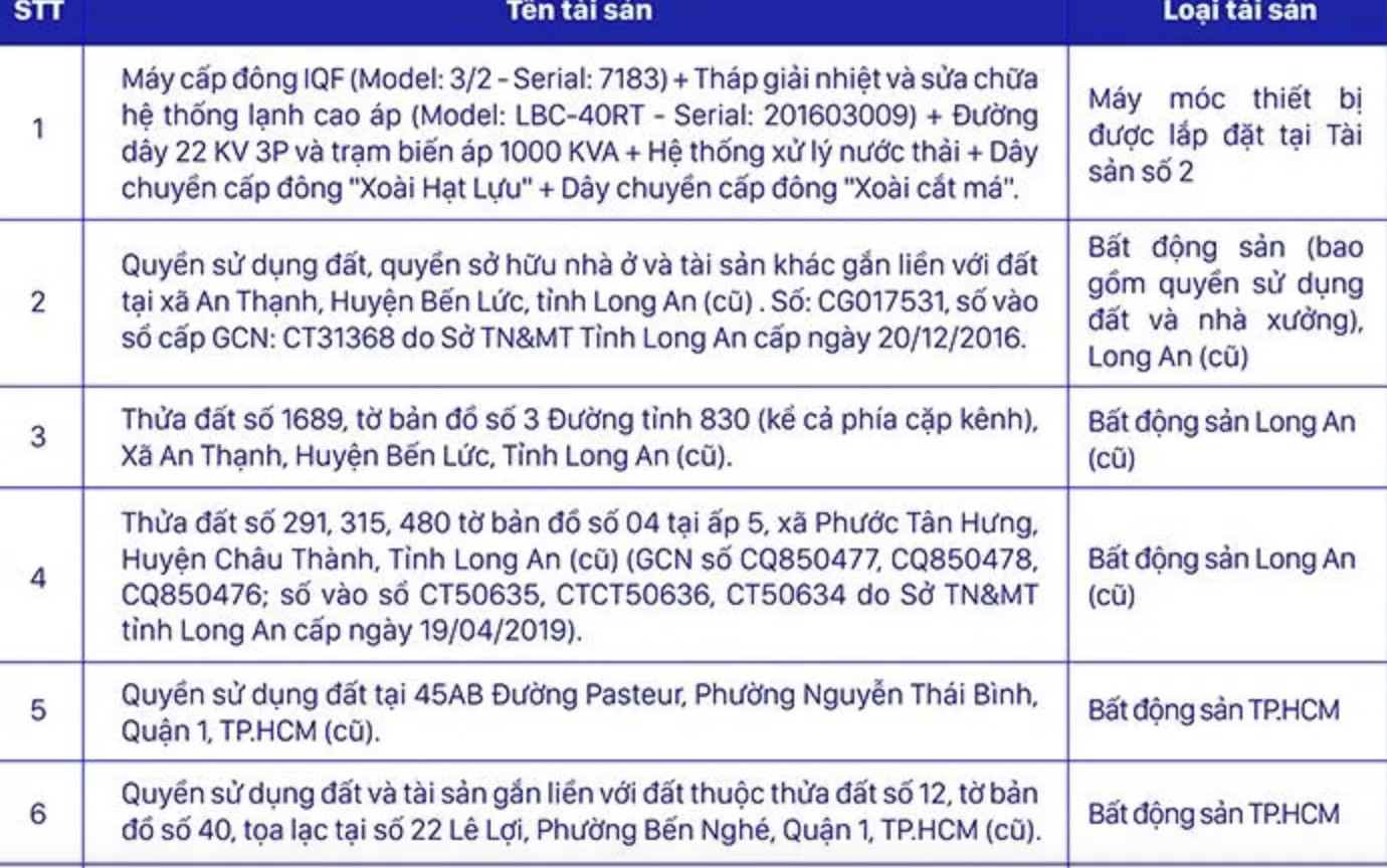 Danh sách tài sản bảo đảm vụ Vạn Thịnh Phát của Ngân hàng SCB (ảnh: N.M). Động thái mới của Ngân hàng SCB liên quan Vạn Thịnh Phát - Ảnh 1.