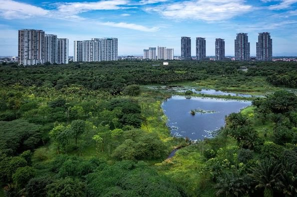 ecopark2.jpg