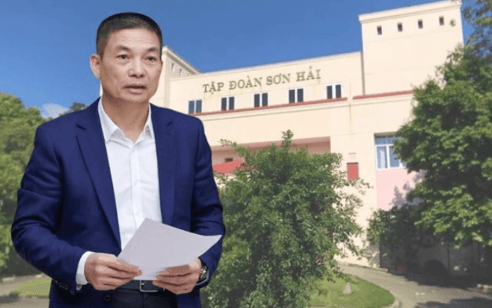 Sơn Hải lên tiếng về dự án 25.000 tỷ tại Khánh Hòa: Đối tác được giao nghiên cứu có 10.000 nhân sự, danh mục đầu tư 200.000 tỷ đồng - Ảnh 1.