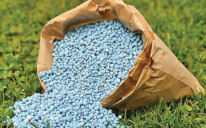 Khởi tố Chủ tịch Công ty Phân bón Hà Bắc, thu giữ 65 tấn phân bón giả
