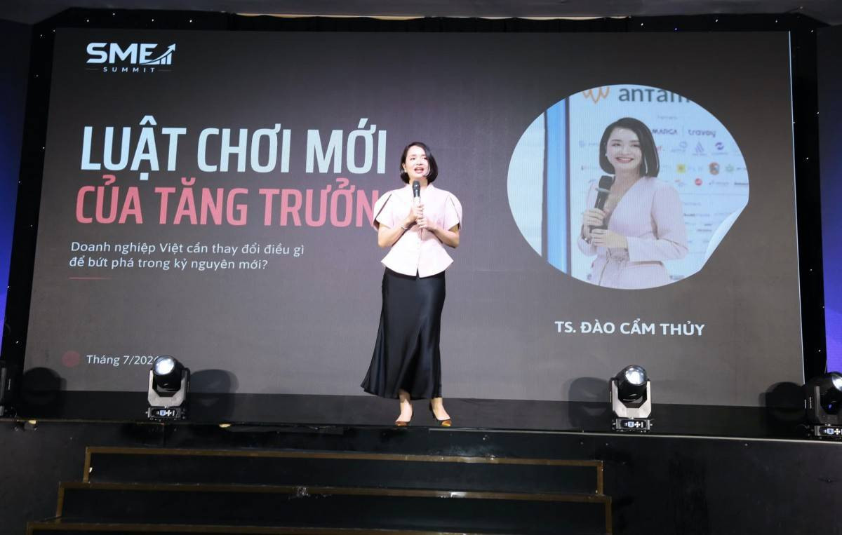 Ngỡ ngàng xe VinFast lăn bánh ở Indonesia, nội thất Việt giá gấp 3 tại Singapore: Đã đến lúc doanh nghiệp dừng 'đấu giá rẻ'? - Ảnh 1.