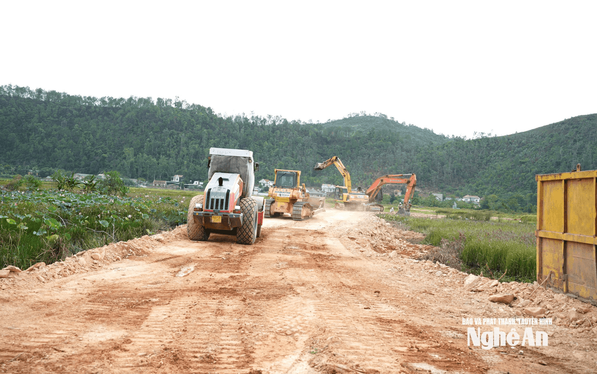 Ảnh màn hình 2026-07-24 lúc 15.45.57