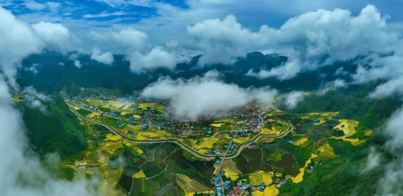 Ảnh màn hình 2026-07-24 lúc 14.37.15