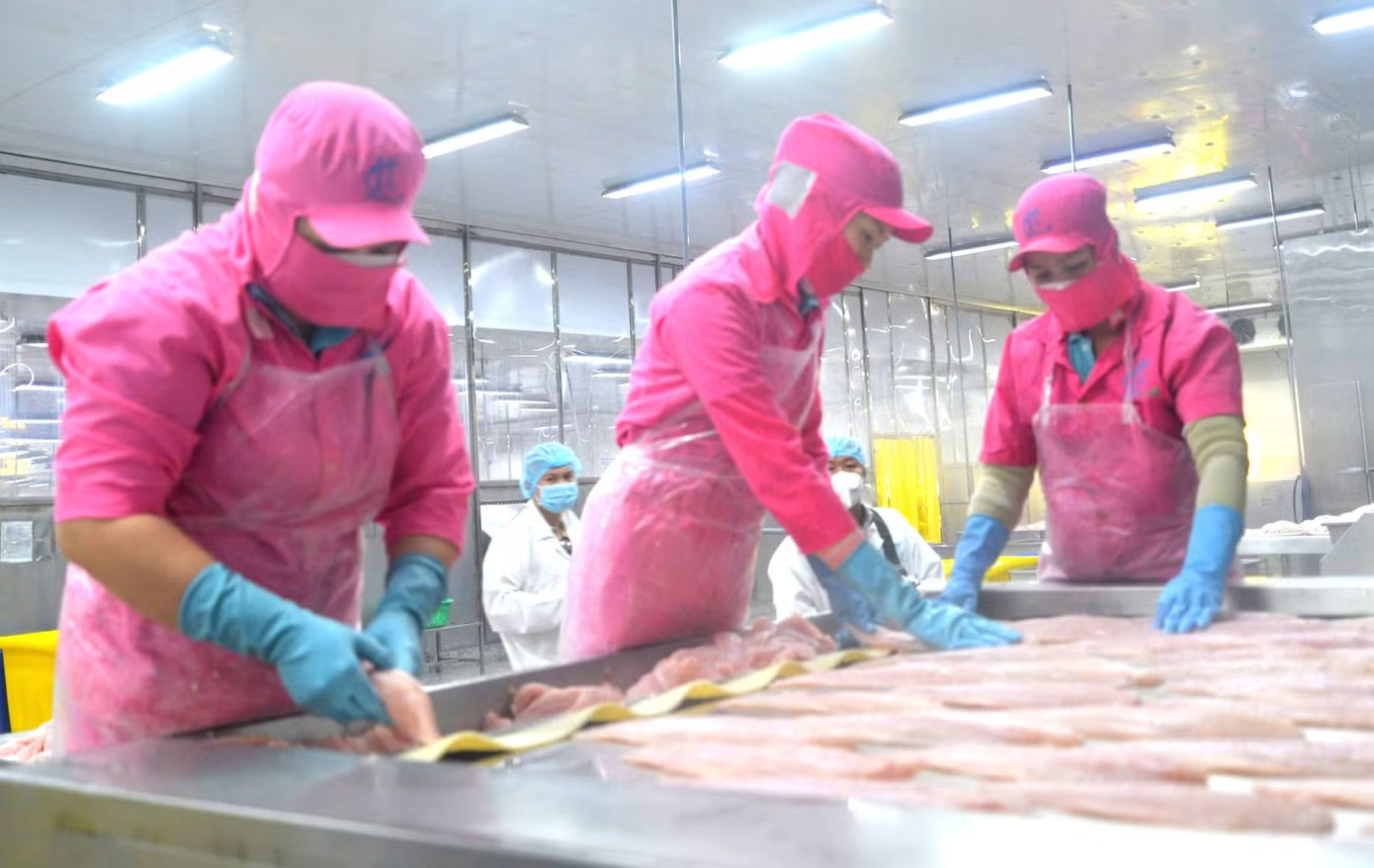 Thủy sản Việt Nam xuất Trung Quốc nhiều nhất - Ảnh 1.
