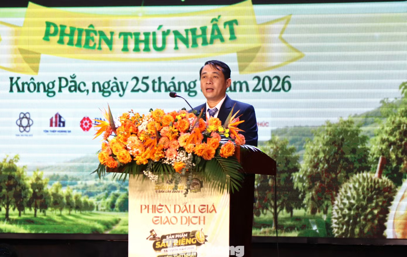 Đấu giá sầu riêng tại vườn: Bất ngờ về loại A - Ảnh 1.