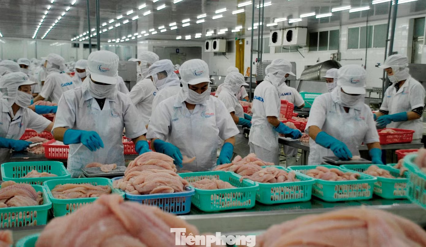 Việt Nam nhập nông sản cao cấp nào từ Mỹ? - Ảnh 2.