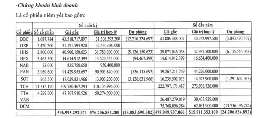 các khoản đầu tư của NTL