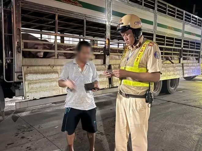 Hàng trăm con heo nghi 'dính' chất cấm Salbutamol - Ảnh 2.