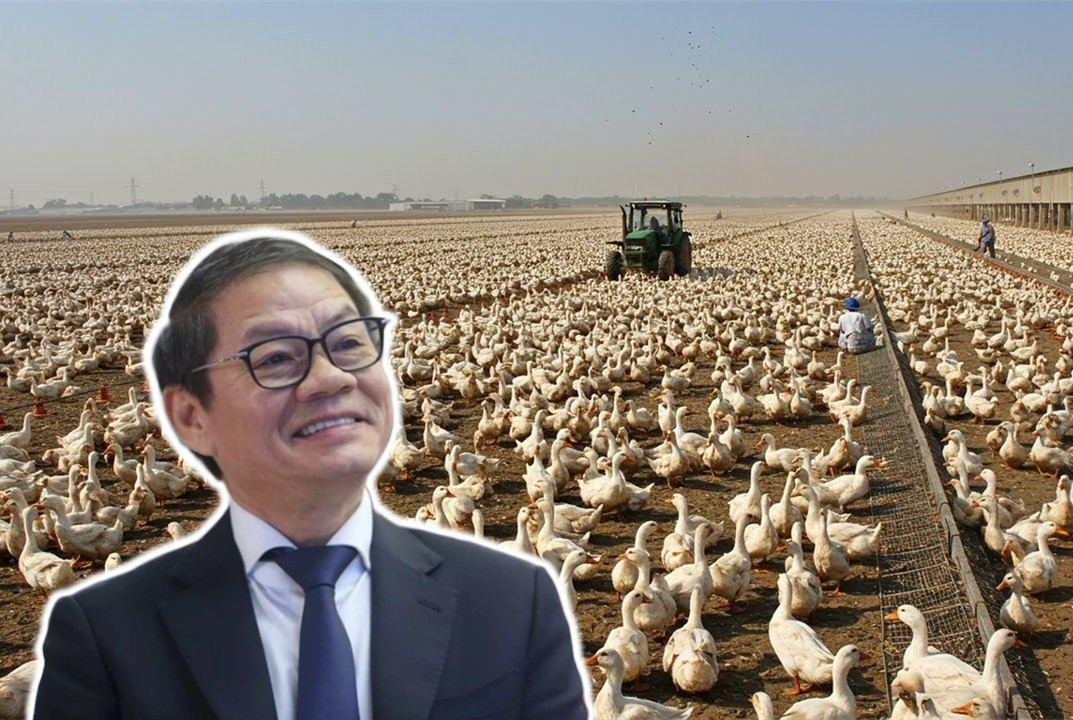 THACO AGRI muốn đầu tư 7.500 tỷ đồng vào Hưng Yên để trồng lúa, nuôi vịt, thả cá